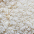 Wool